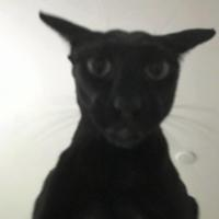 98aca986cf754c1ae1d5a306df76aaff_1756612885_0714.png